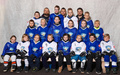 Leijona-kiekkokoulu