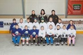 Leijona-kiekkokoulu