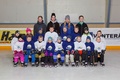 Leijona-kiekkokoulu